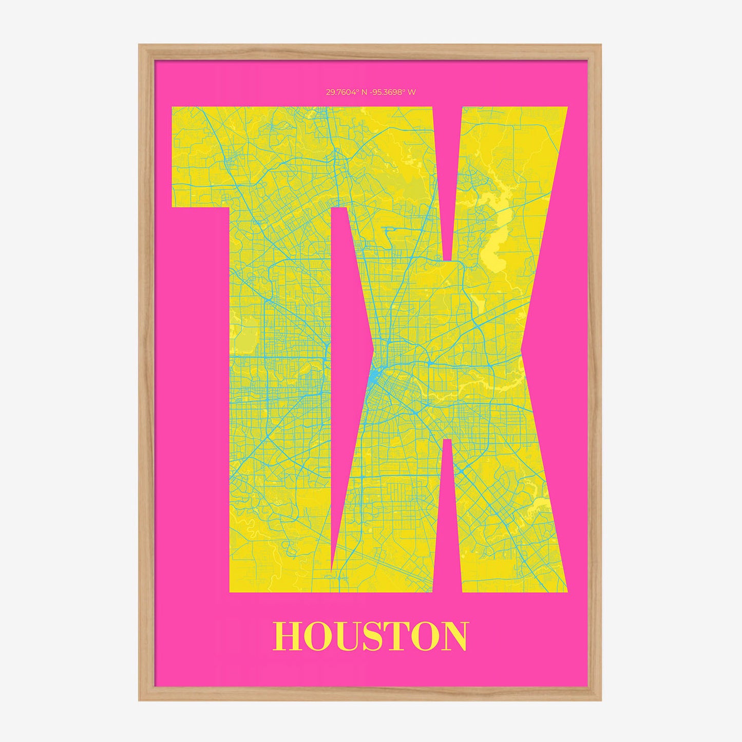 TX Houston Poster