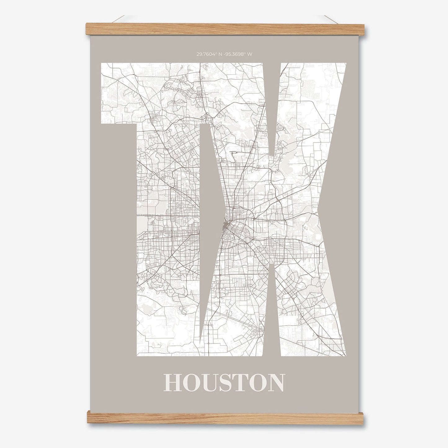 TX Houston Poster